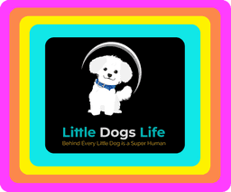 Little Dogs Life